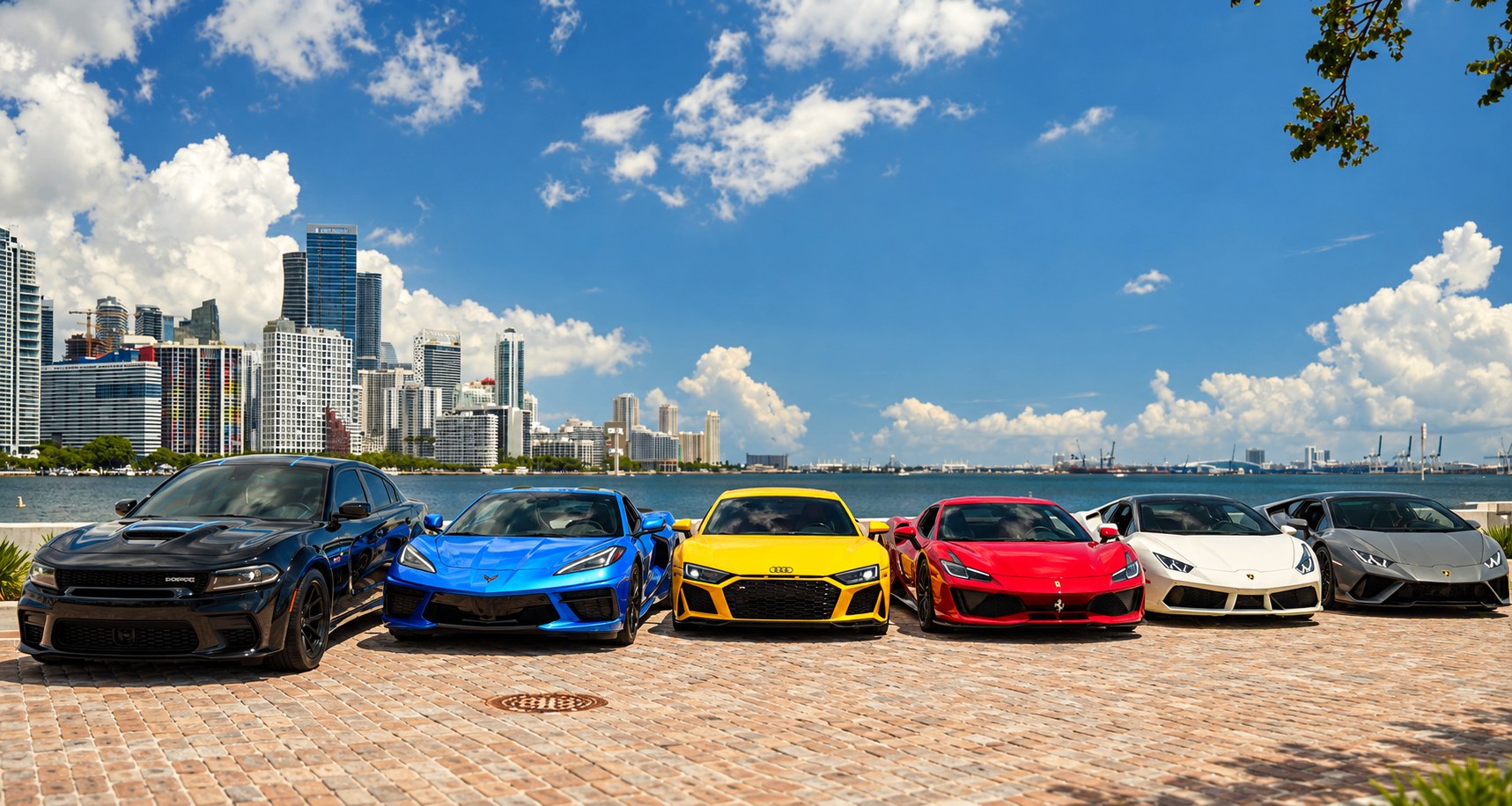Row of freshly detailed performance cars lined up along the waterfront